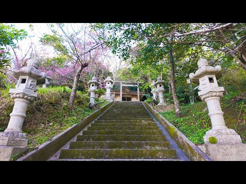 Nago Castle Park | Okinawa | Japan #okinawa