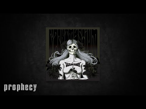 nachtmystium away from the light