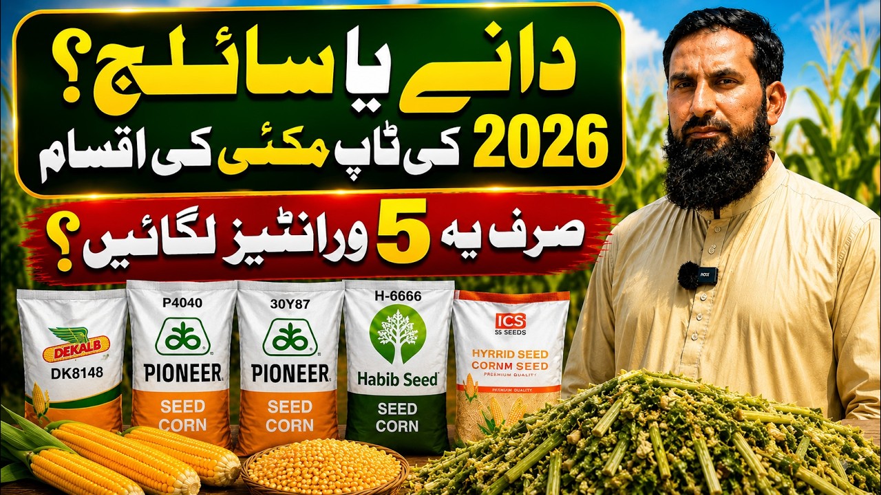 🔥1000% Profit Ka Formula Har Farmer Ko Pata Hona Chahiye | Yeh Idea kisan Ki Zindagi Badal Sakta Hai