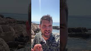 Vjeran tries Starlink while on a mysterious island surrounded by cicadas. #shorts