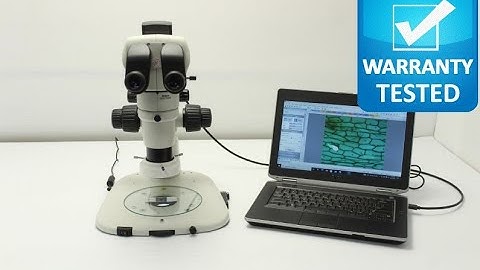 Nikon SMZ1000 Stereoscope Stereo Microscope [BOSTONIND] - 31548