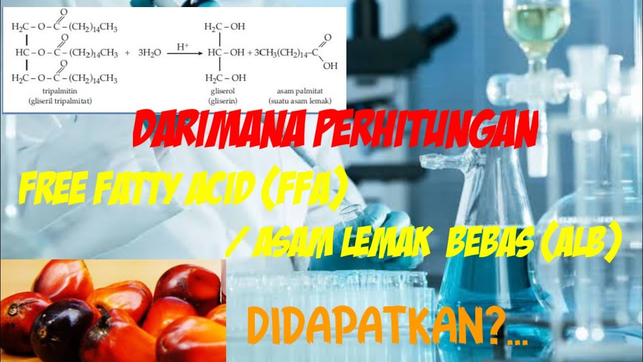 Penjabaran rumus Free Fatty Acid (FFA) / Asam Lemak Bebas (ALB) pada