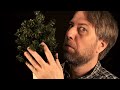 ASMR Toy Triggers for Relaxation (dinos, squishy toys, tree)