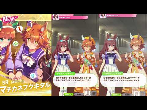 【ウマ娘】ラッキーの化身『フルアーマー・フクキタル』#ウマ娘 #マチカネフクキタル