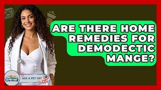 Are There Home Remedies For Demodectic Mange? - Ask A Pet Vet