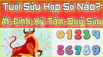 Tuổi SỬU Hợp SỐ Nào? Số May Mắn Hợp Với Người Tuổi Sửu. Tuổi Sửu Hợp Số Mấy? Tử Vi 12 Con Giáp.