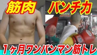 1ヶ月ワンパンマン筋トレした結果 Youtube 1ヶ月ワンパンマン筋トレした結果 Youtube