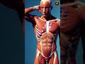 What Happens After 24 Hours With NO Sleep | SHOCKING 3D Breakdown #SleepDeprivation #NoSleep #entert
