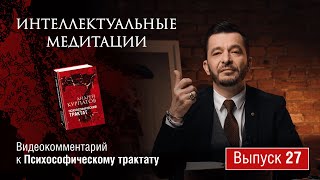 Интеллектуальные медитации. Видеокомментарий к Психософическому трактату: выпуск 27