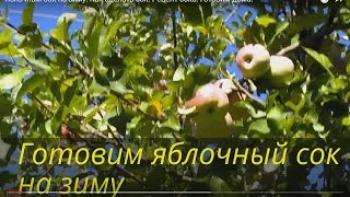 Яблочный сок на зиму. Как сделать сок. Рецепт сока. Готовим дома. Яблочный сок на зиму. Как сделать сок. Рецепт сока. Готовим дома.