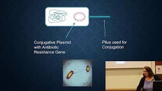 14-Horizontal Gene Transfer of antibiotic resistance