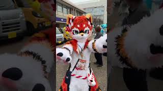 I want to hug you❤️ #furry #fursuit #fursuiters #furries #fursona #cute