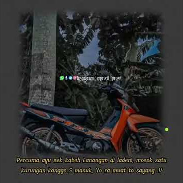 quotes fizr