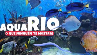RIO DE JANEIRO, AquaRIO 2026: HOW MUCH DOES IT COST | IS IT WORTH IT LARGEST AQUARIUM IN SOUTH A...