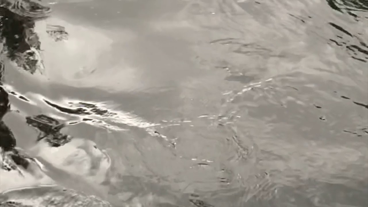 Yidaki - Didgeridoo Focus (key of C)