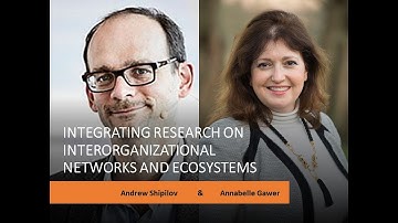 Integrating Research on Interorganizational Networks and Ecosystems