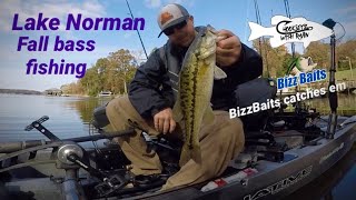 Lake Norman Bass fishing / Fall junk fishing