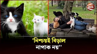 বিড়াল পালন সম্পর্কে ইসলাম কি বলে? | Keeping cats in Islam | Channel 24