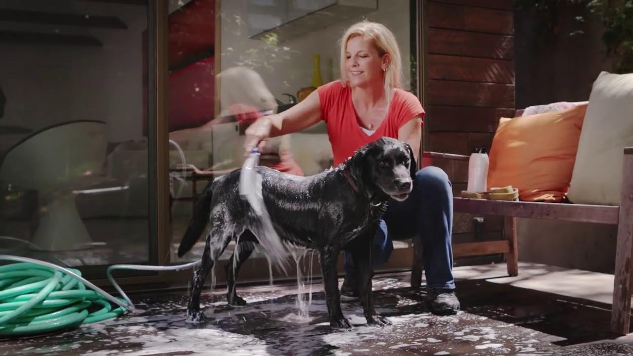 Waterpik™ Pet Wand PRO Dog Shower YouTube
