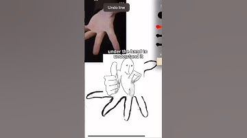 How to quickly draw hands! :D #art #artist #arttutorial #tutorial #tips #drawing #digitalart