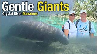 Up Close With Manatees | Crystal River Florida