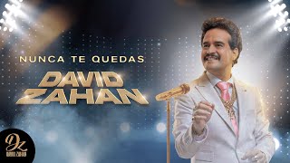 Nunca Te Quedas, David Zahan - Video Letra
