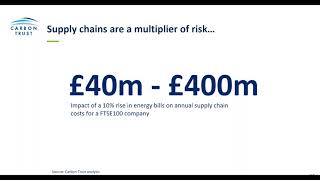 Supply Chain Sustainability - A Green Business Fund Webinar