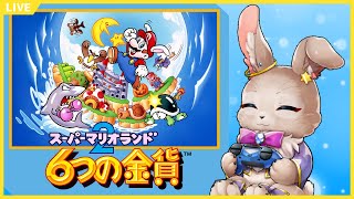 これはどの姫を助ける物語なの？【スーパーマリオランド2 6つの金貨】
