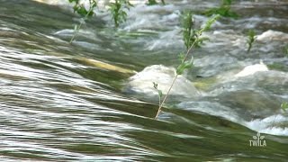 Floods Take Over North Louisiana Farms