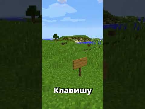 😨СЕКРЕТНЫЕ ФАКТЫ ТАБЛИЧЕК В МАЙНКРАФТ #shorts #minecraft #майнкрафт