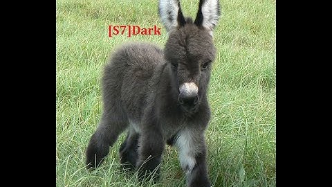 MTA.SA •~Default Freeroam~• ||P|| TMW|xYz Vs [S7]Dark 6-1