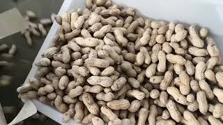 AMD Ground nut/peanut sorting with Deep Learning Sorter/Sortex Machine