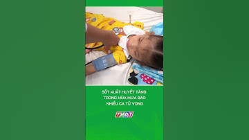 Sốt xuất huyết tăng trong mùa mưa bão, nhiều ca tử vong #nongnghiepmientay