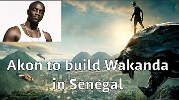 Akon to build crypto city in Senegal (Wakanda)... Goldman Sachs CEO supports Crypto