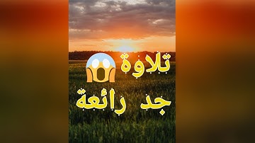 تلاوة ممتعة لسورة الحجرات بصوت القارئ محمد هشام|Qari mohammad hisham