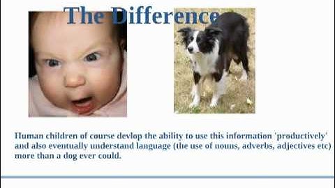 Fast Mapping Presentation