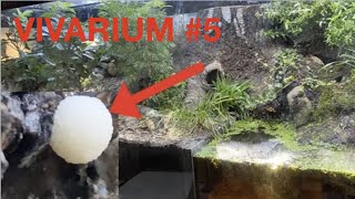 Amazing SLIME MOLD invading my HUGE ANTVIVARIUM!