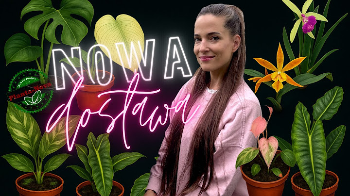 SOBOTNIA PREMIERA: Nowa dostawa roślin 12.07.2025 | godz. 18:00 | Ilości mocno ograniczone!