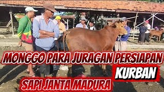 TERBARU PASAR BLEGA BANGKALAN MADURA