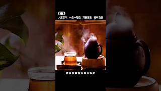 #輕音樂 #古琴 #古箏 #音樂分享 #五音療愈 #國樂 #純音樂 #音樂 #nhachoangu
