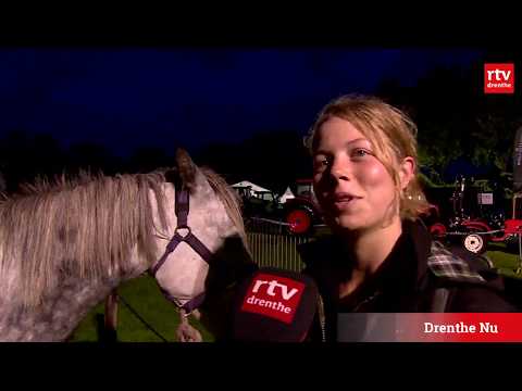 Weer minder paarden aangevoerd op Roldermarkt - Weer minder paarden aangevoerd op Roldermarkt