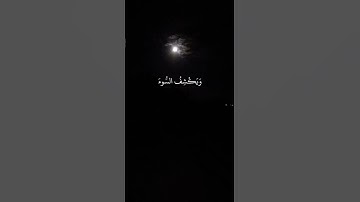 تلاوة جميلة القارئ احمد النفيس #سورة النمل #