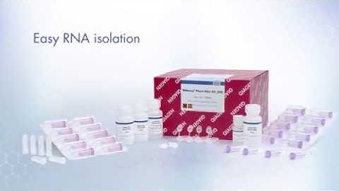 RNeasy FFPE Kit  Purify total RNA from FFPE tissue sections