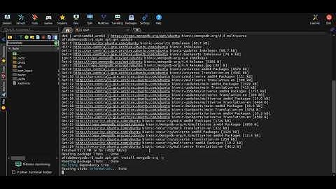 MongoDB setup on ubuntu 18.04 LTS