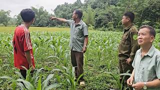 Download lagu After leaving, Mr. Khu decided to buy a piece of land to build a small house.