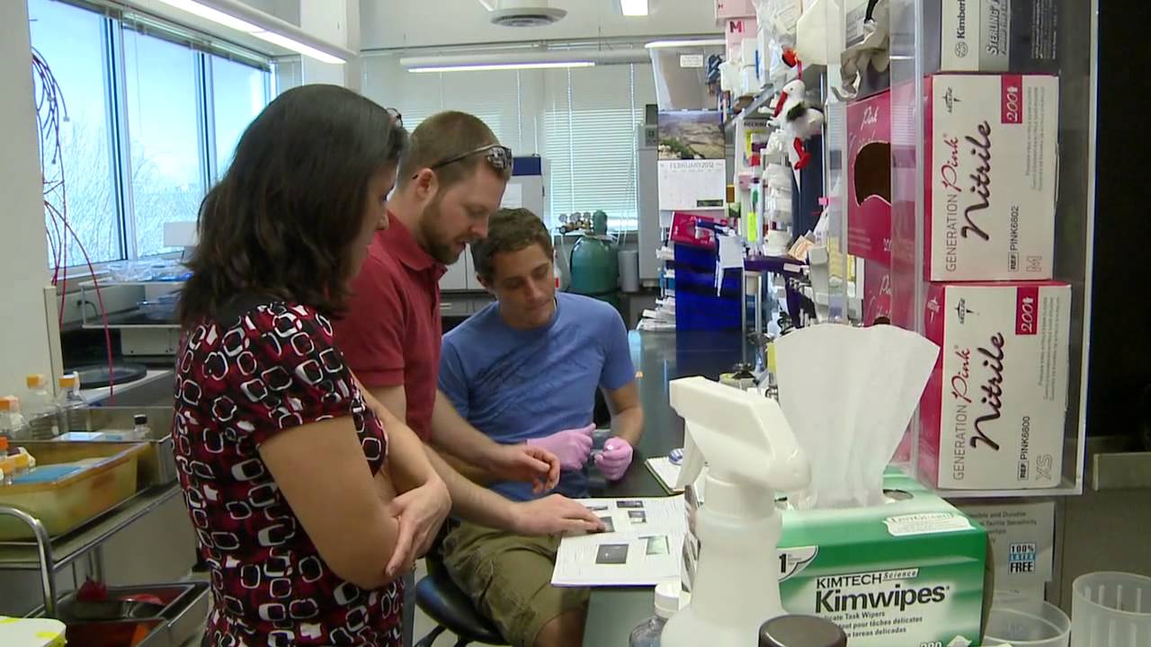 College Of Veterinary Medicine And Biomedical Sciences At Colorado