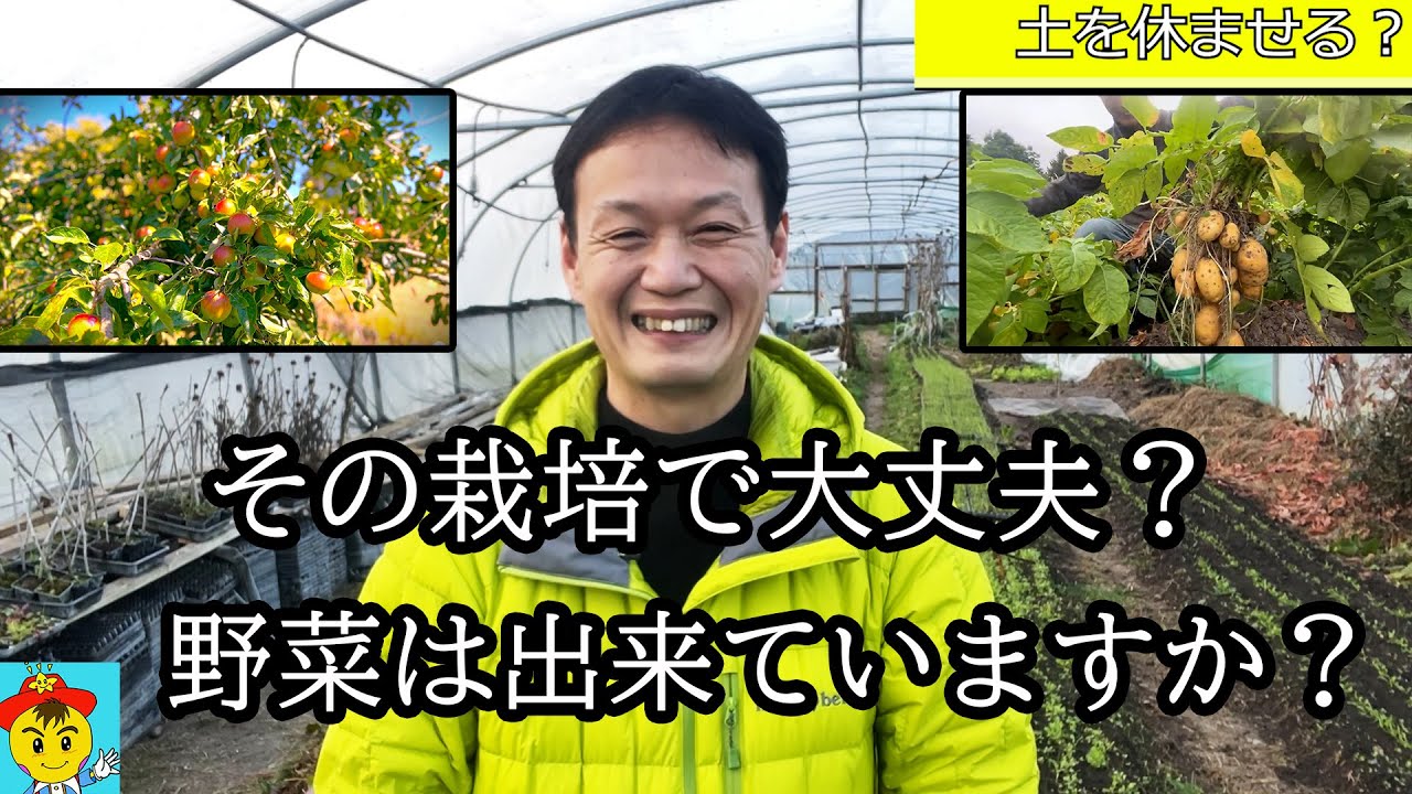 【自然栽培204】お答えします。草マルチなしで栽培大丈夫？土は休ませる？生ごみコンポストはどうする？連作後の畑の管理紹介！