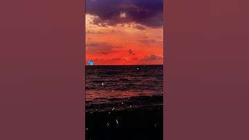 سورة الممتحنة آية ١٣ يا أيها الذين آمنوا لا تتولوا قوما غضب الله عليهم Surah Al Mumtahenah Ayat 13
