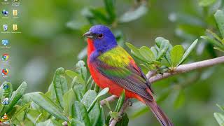 How To Solve Bluescreen Problem screenshot 2