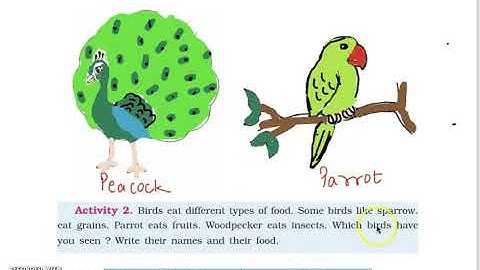 Class 3 PSEB My World (Environment Studies) - The world of birds(Lesson- 8) (Part 1)